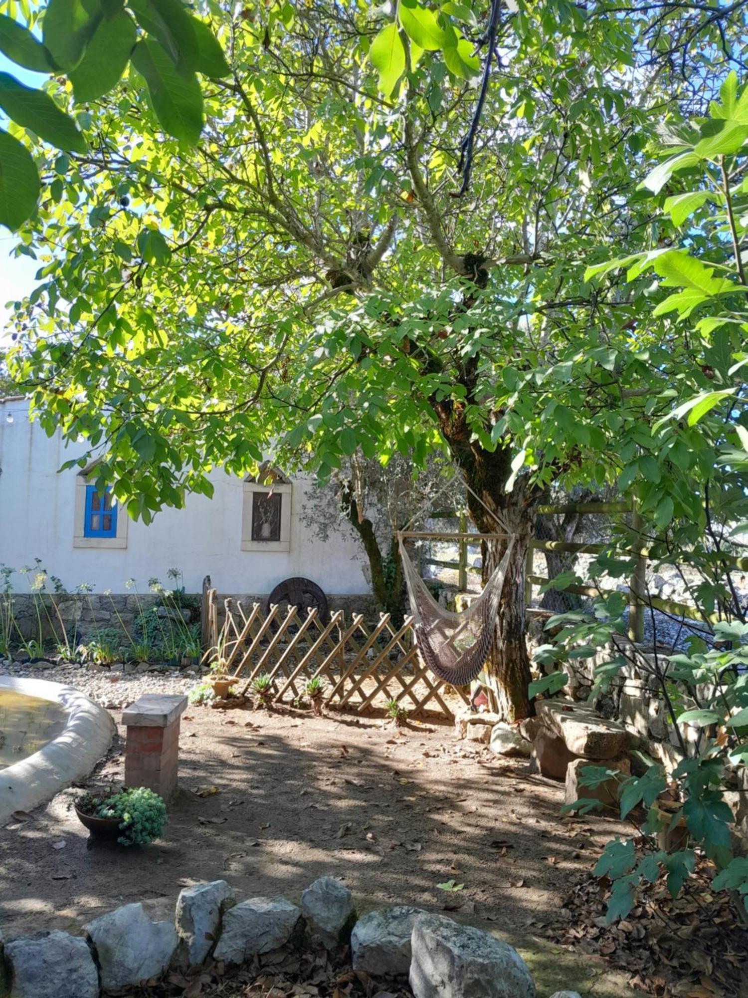 Porto de Mós Refugio Das Artes Guesthouse מראה חיצוני תמונה