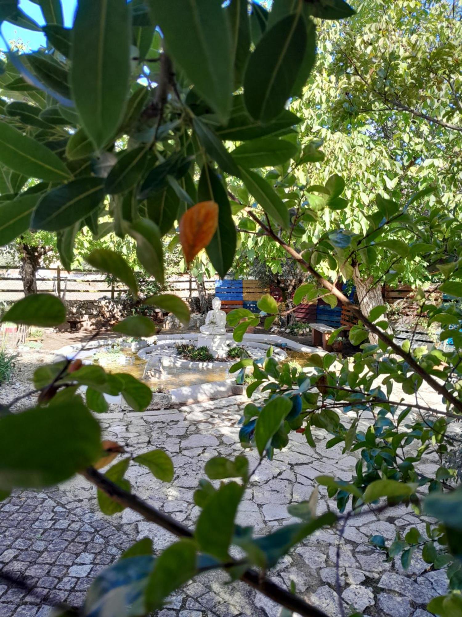 Porto de Mós Refugio Das Artes Guesthouse מראה חיצוני תמונה