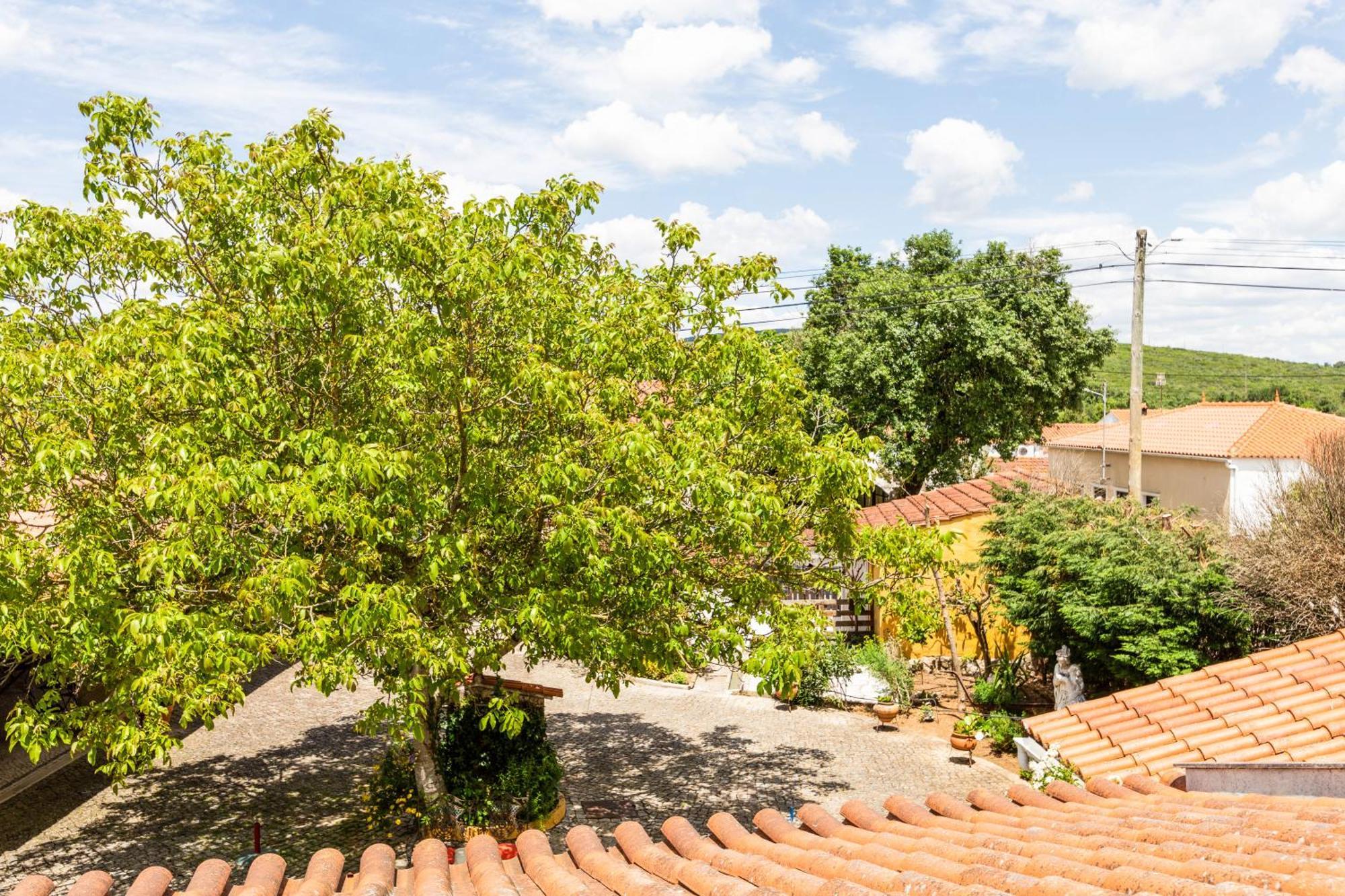 Porto de Mós Refugio Das Artes Guesthouse מראה חיצוני תמונה